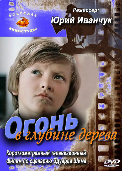 Огонь в глубине дерева (1978) постер